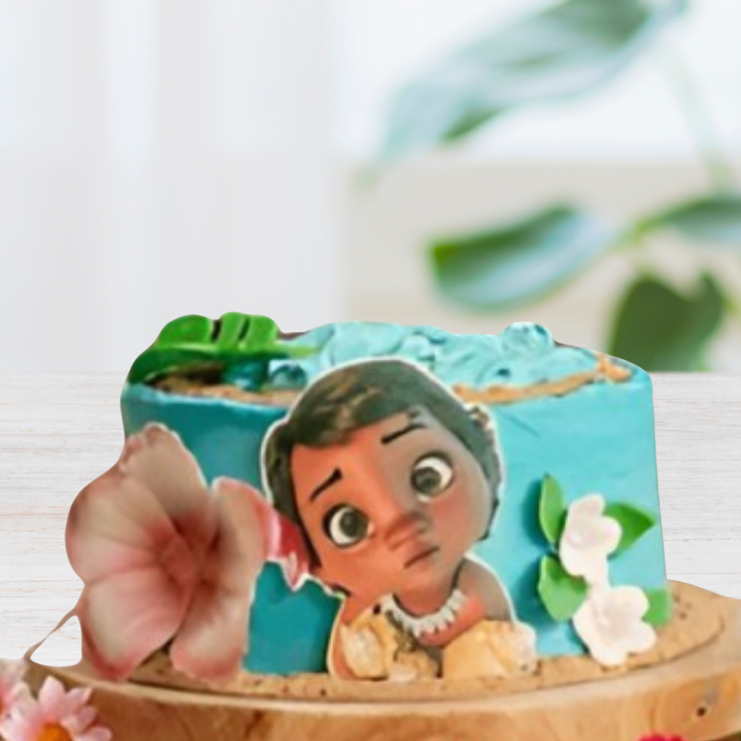 Adventure Photo Cake