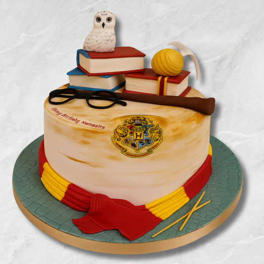 Wizarding World Cake